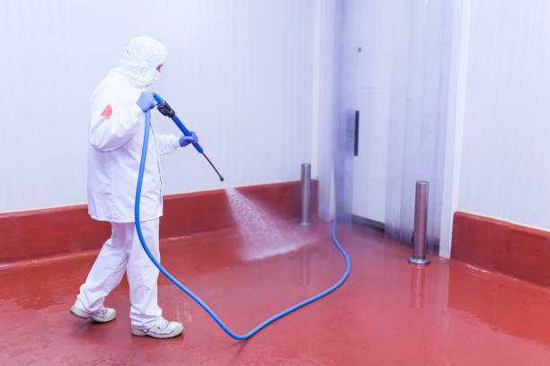 Best Roof Washing  in Zanesville, OH